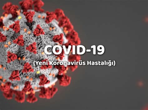 C­o­v­i­d­-­1­9­ ­K­a­l­k­a­n­ı­ ­n­e­d­i­r­